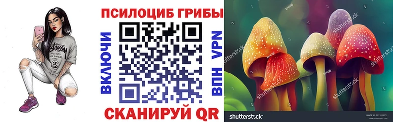 Псилоцибиновые грибы ЛСД  Вышний Волочёк 