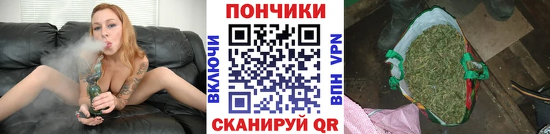 Бошки марихуана Bruce Banner  Вышний Волочёк 